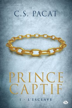prince-captif-tome-1-l-esclave-572836