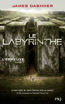 l--preuve,-tome-1---le-labyrinthe-491190